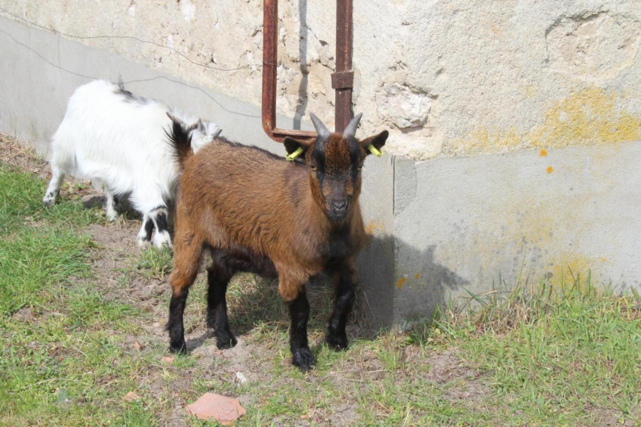 Ferme Des Poulardieres Crouy-sur-Cosson