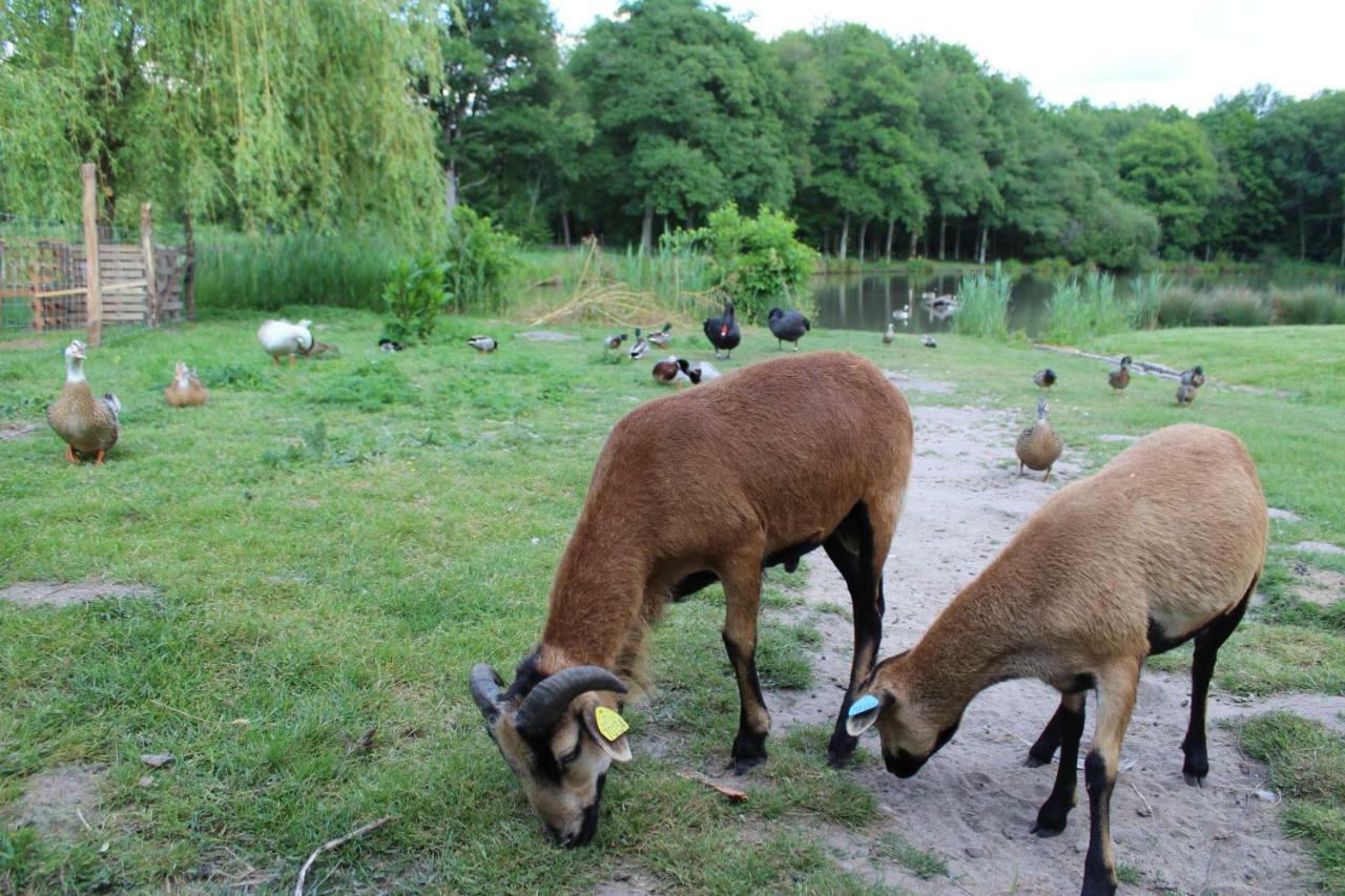 Holiday home Ferme Des Poulardieres