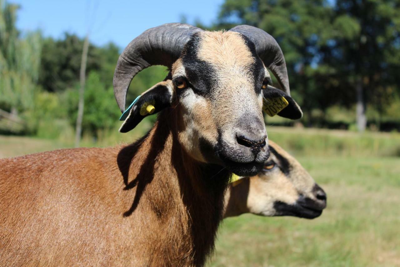Ferme Des Poulardieres